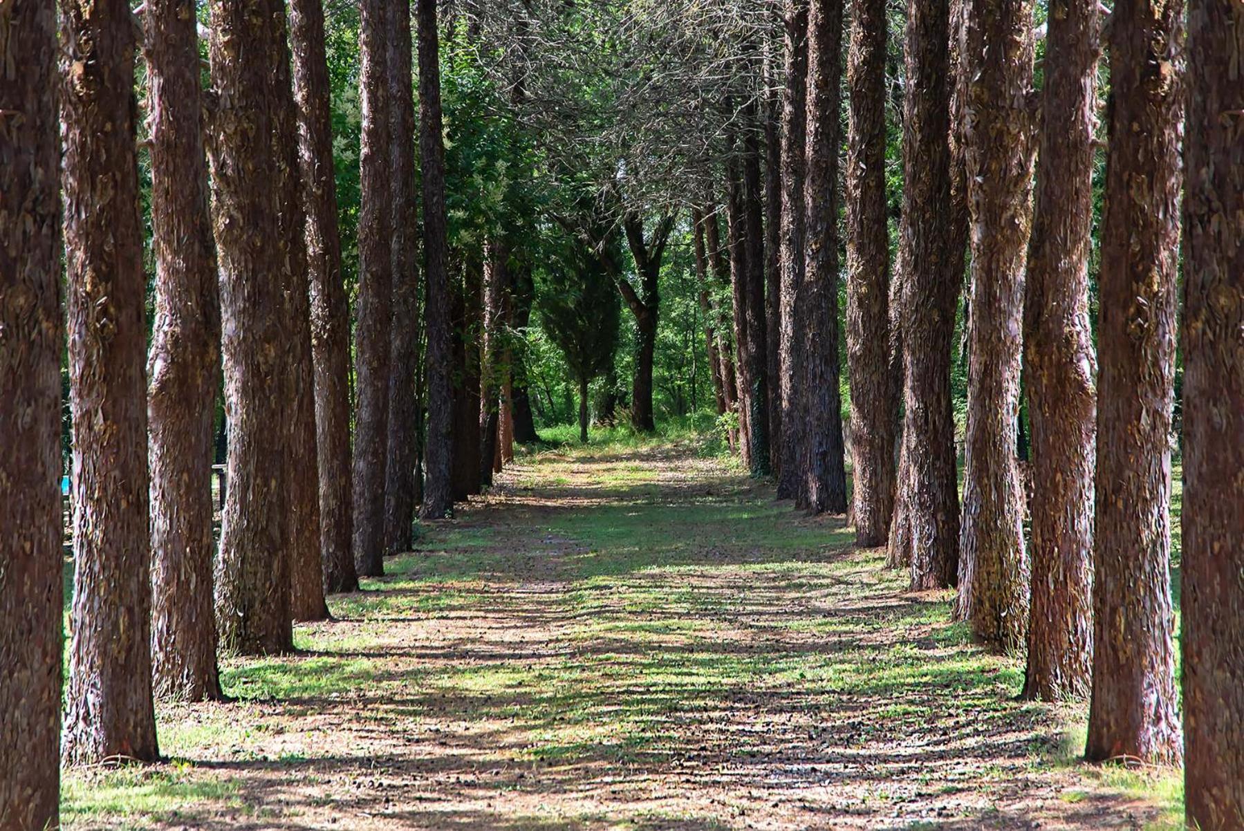 Agriturismo Villa Alari شيتونا المظهر الخارجي الصورة